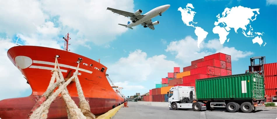دراسة ماجستير التجارة الدولية وإدارة الصادرات في مصر