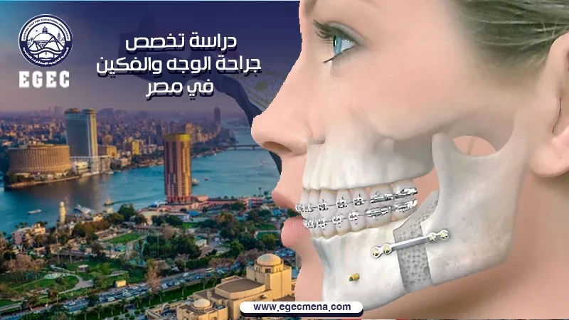 دراسة تخصص جراحة الوجه والفكين في مصر