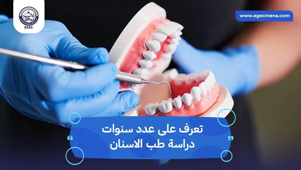 عدد سنوات دراسة طب الاسنان