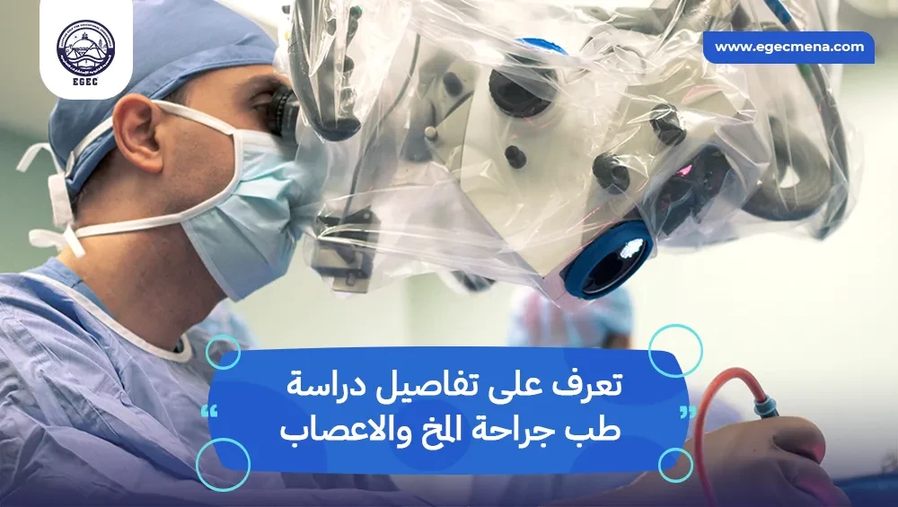 دراسة طب جراحة المخ والاعصاب