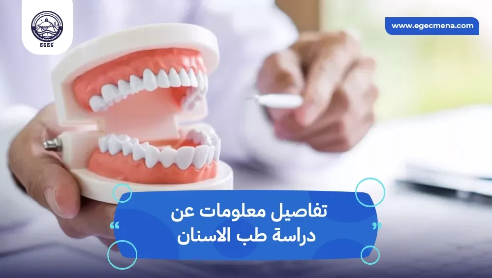 معلومات عن دراسة طب الاسنان