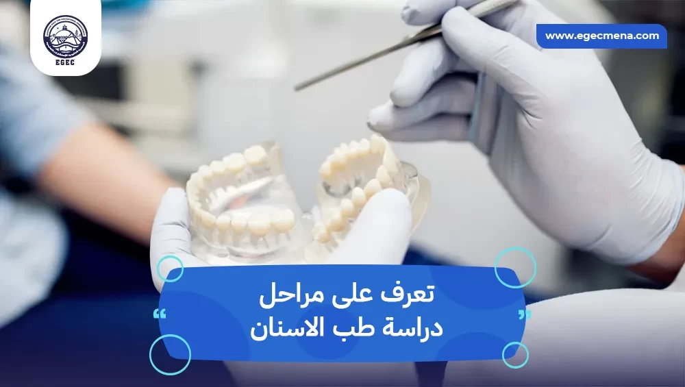  مراحل دراسة طب الاسنان