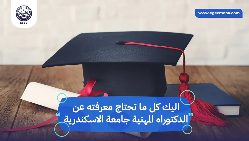 الدكتوراه المهنية جامعة الاسكندرية