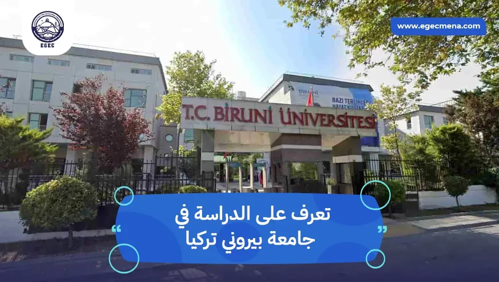 جامعة بيروني تركيا