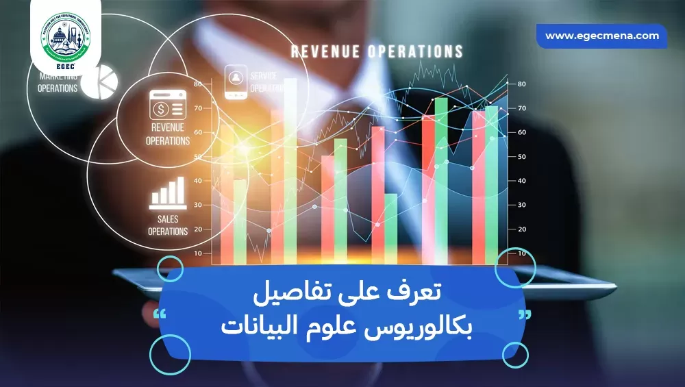 بكالوريوس علوم البيانات
