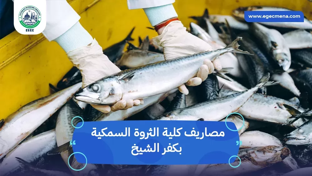 مصاريف كلية الثروة السمكية بكفر الشيخ