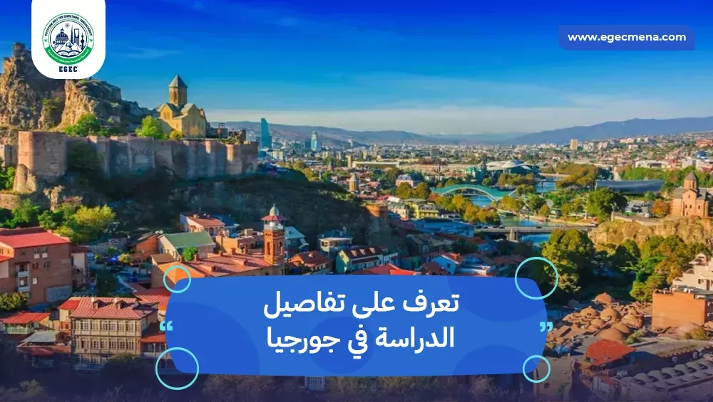 الدراسة في جورجيا