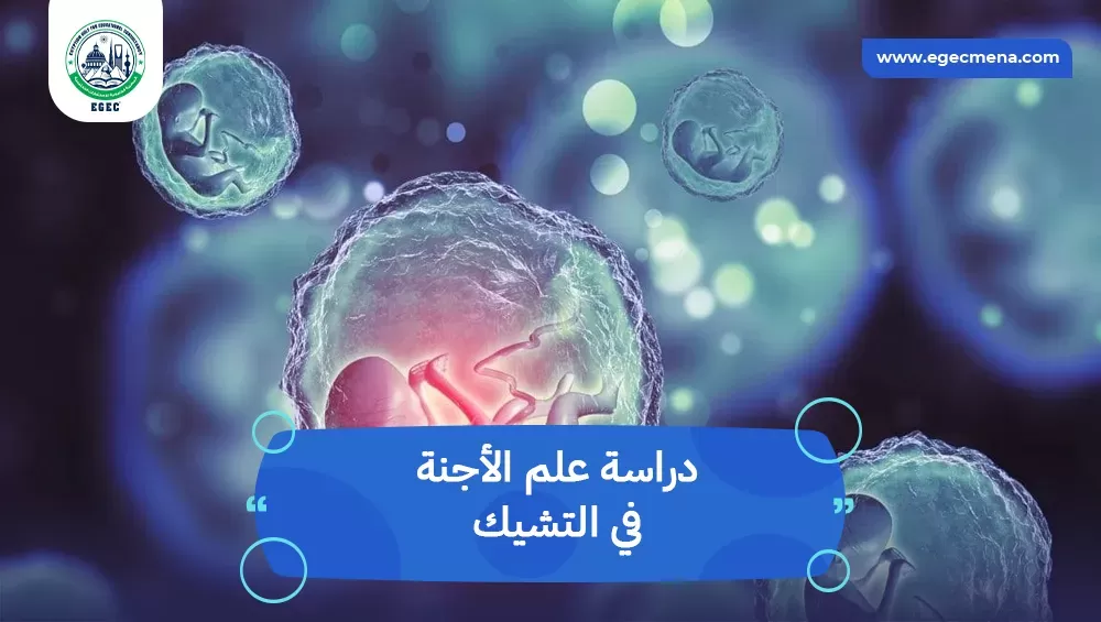 دراسة علم الأجنة في التشيك للطلاب الدوليين