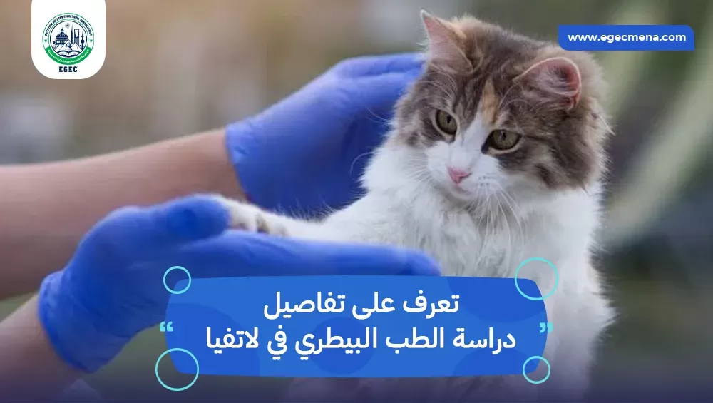 دراسة الطب البيطري في لاتفيا