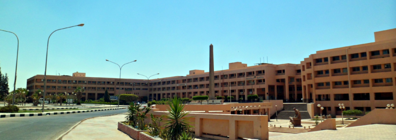 جامعة مدينة السادات